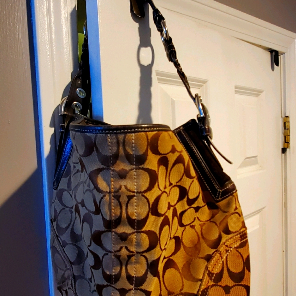 🪣Bucket coach bag